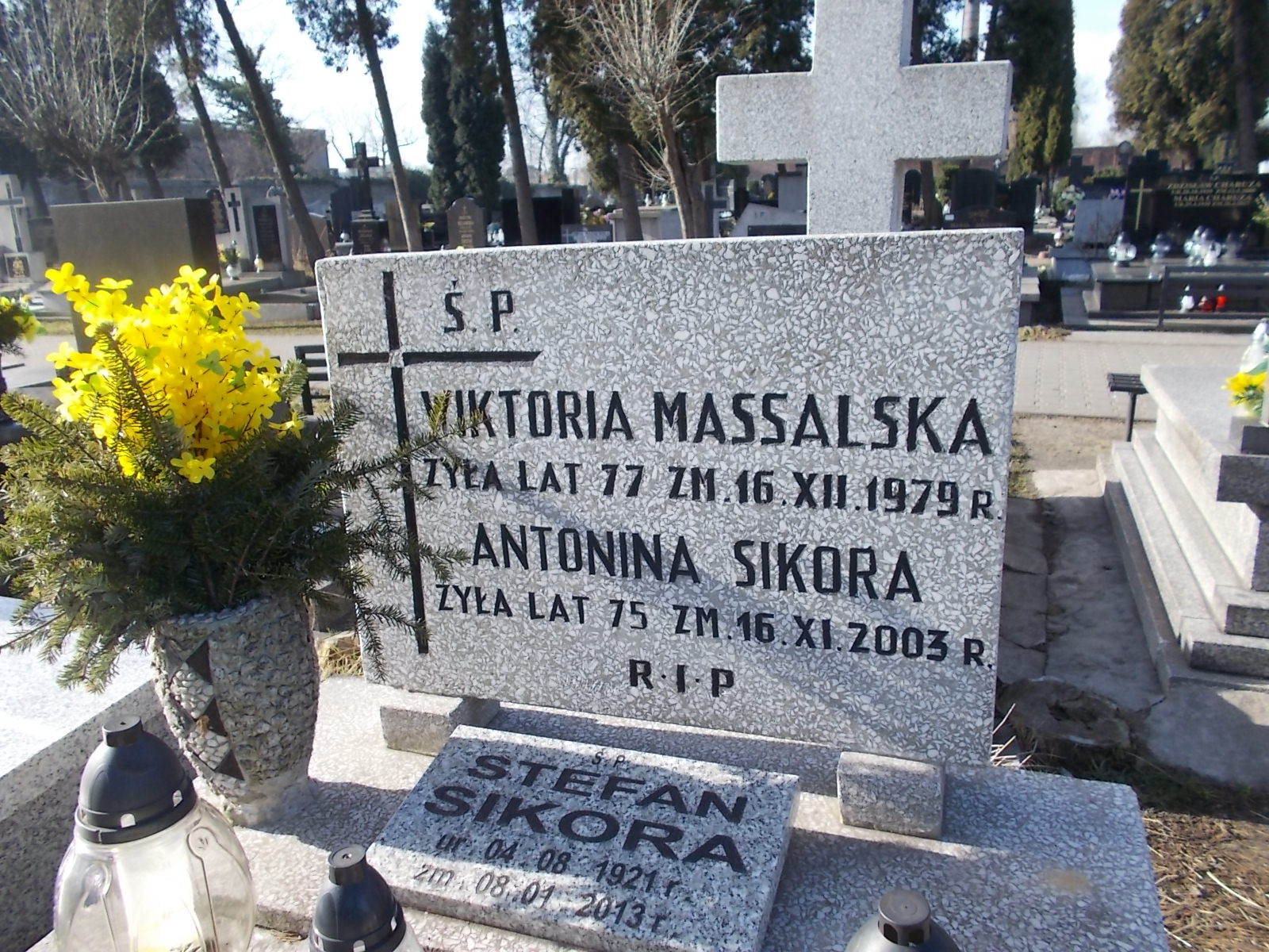 Wiktoria Massalska Sosnowiec Wniebowzięcia NMP - Grobonet - Wyszukiwarka osób pochowanych
