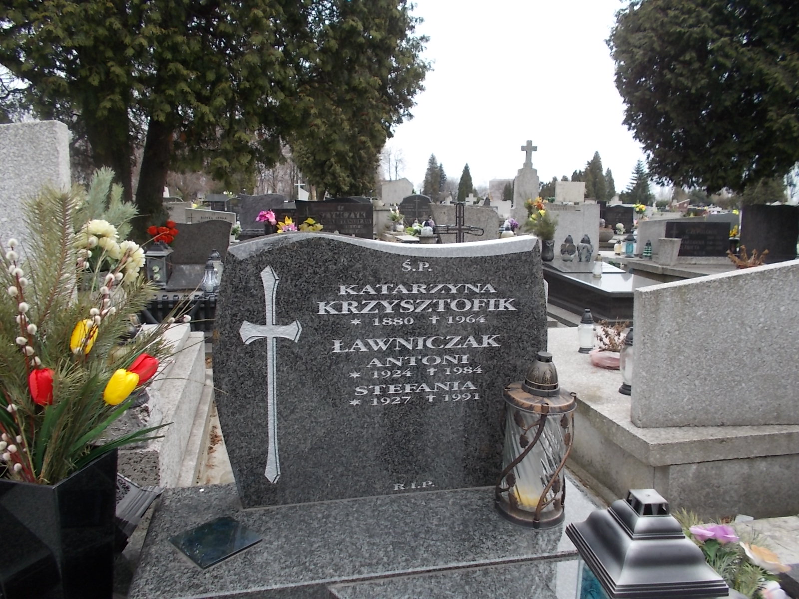 Anna Sarna 1876 Sosnowiec Wniebowzięcia NMP - Grobonet - Wyszukiwarka osób pochowanych