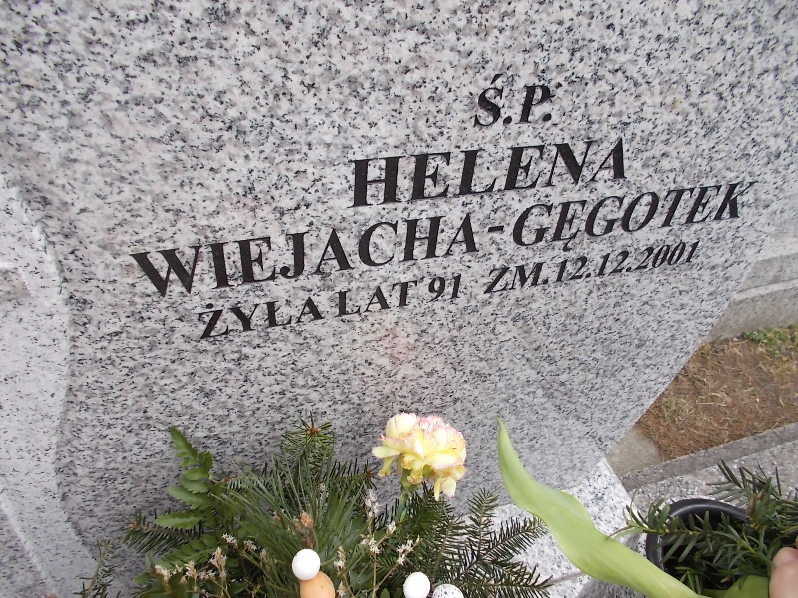 Tomasz Wiejacha 1976 Sosnowiec Wniebowzięcia NMP - Grobonet - Wyszukiwarka osób pochowanych