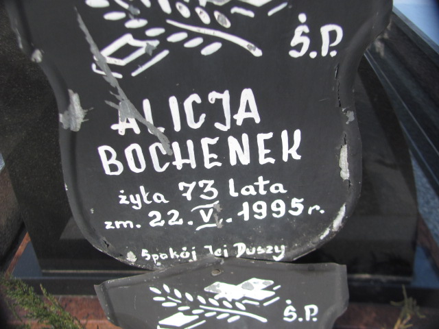 Alicja Bochenek Sosnowiec Wniebowzięcia NMP - Grobonet - Wyszukiwarka osób pochowanych