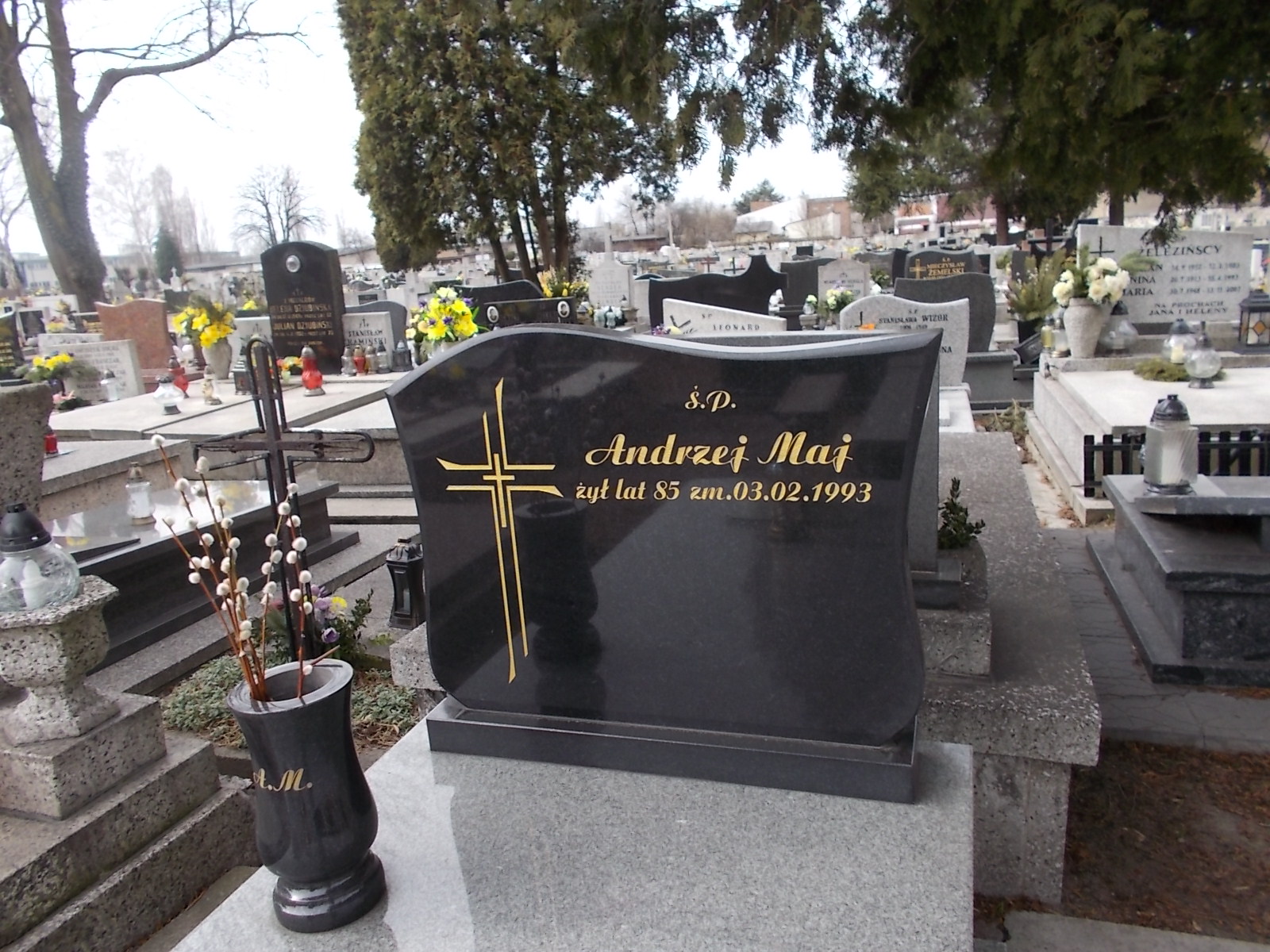 Andrzej Maj Sosnowiec Wniebowzięcia NMP - Grobonet - Wyszukiwarka osób pochowanych
