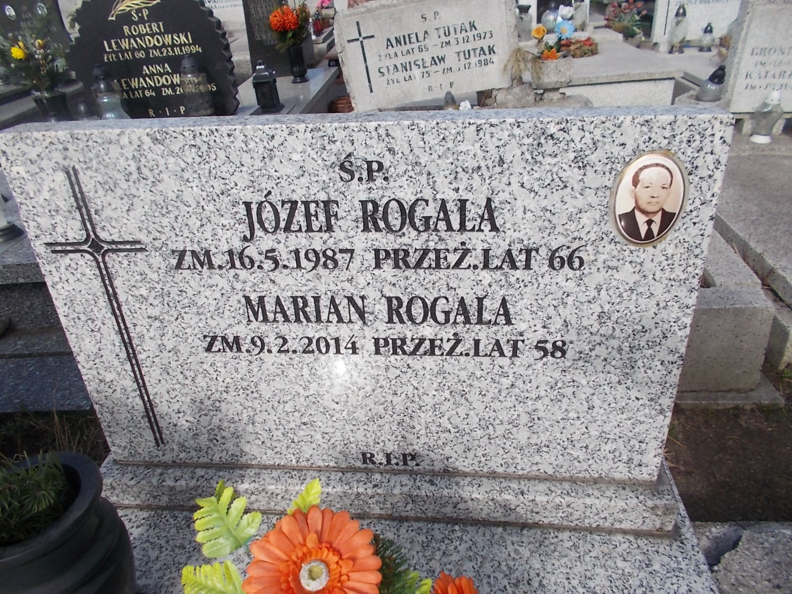 Józef Rogala Sosnowiec Wniebowzięcia NMP - Grobonet - Wyszukiwarka osób pochowanych