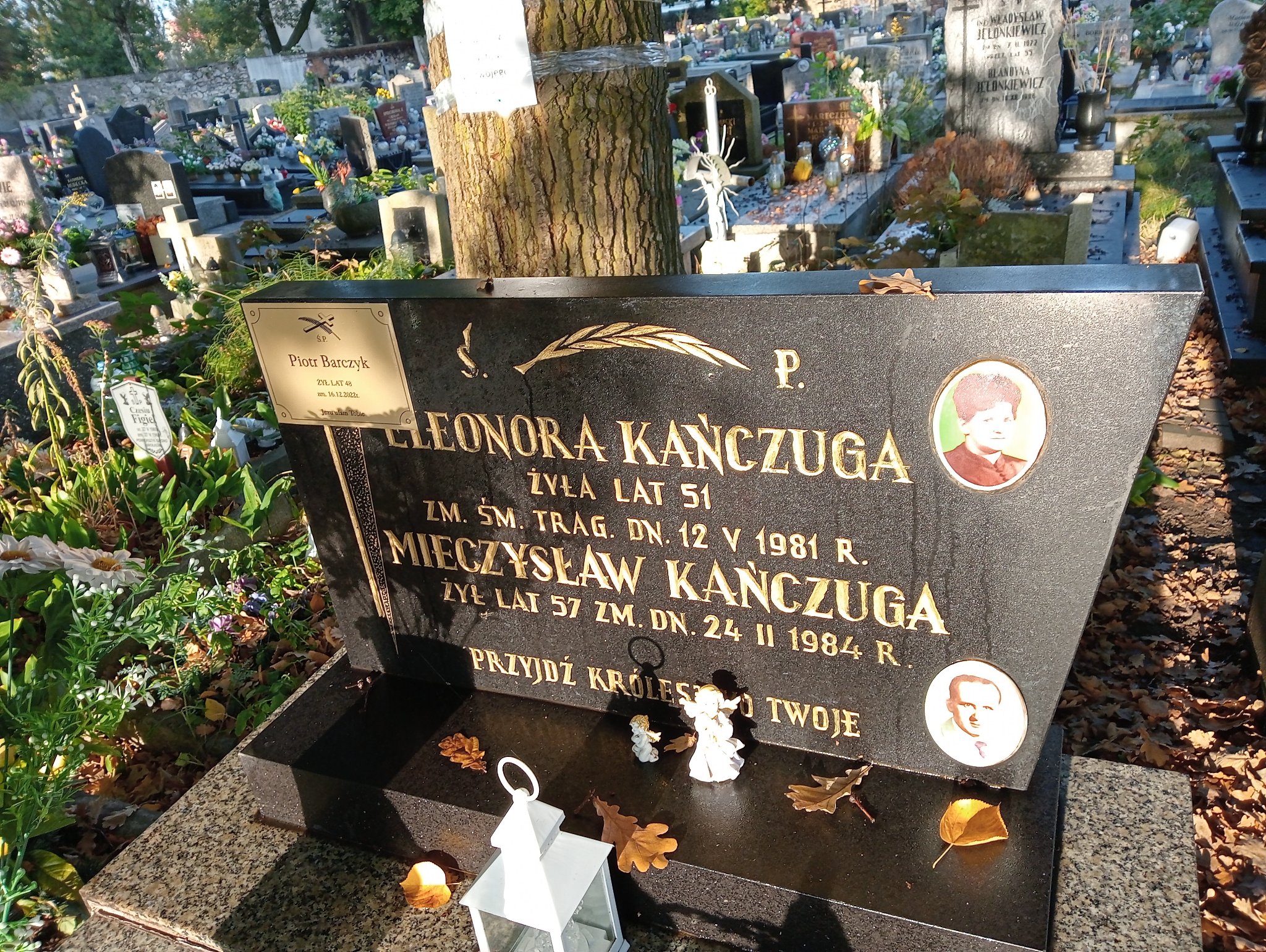 Piotr Barczyk 1974 Sosnowiec Wniebowzięcia NMP - Grobonet - Wyszukiwarka osób pochowanych