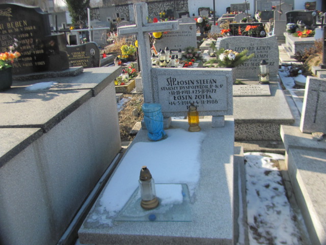 Grób Zofia Łosin
