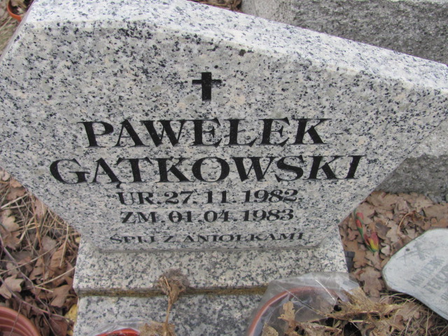 Paweł Gątkowski 1982 Sosnowiec Wniebowzięcia NMP - Grobonet - Wyszukiwarka osób pochowanych