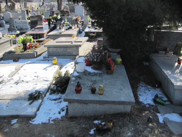 Andrzej Nowakowski 1940 Sosnowiec Wniebowzięcia NMP - Grobonet - Wyszukiwarka osób pochowanych