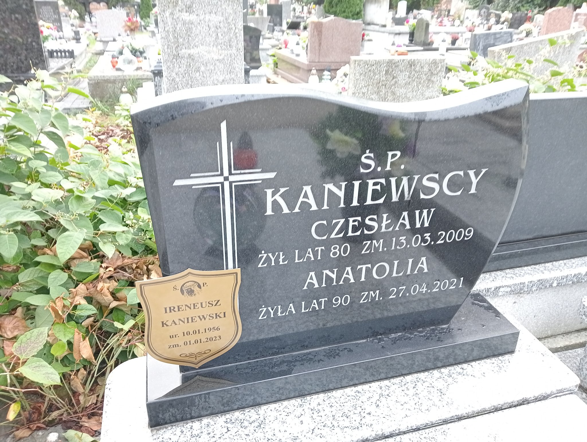 Ireneusz Kaniewski 1956 Sosnowiec Wniebowzięcia NMP - Grobonet - Wyszukiwarka osób pochowanych