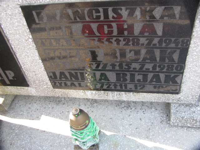 Teodezja Wójcik 1929 Sosnowiec Wniebowzięcia NMP - Grobonet - Wyszukiwarka osób pochowanych