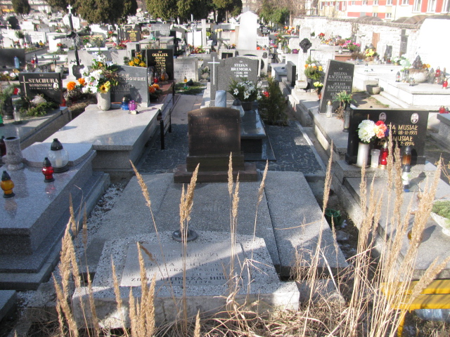 Grób Maria Staniulis
