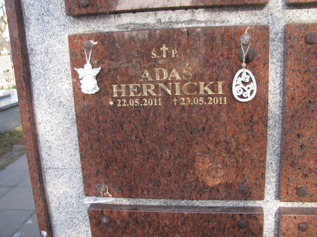 Adam Hernicki 2011 Sosnowiec Wniebowzięcia NMP - Grobonet - Wyszukiwarka osób pochowanych