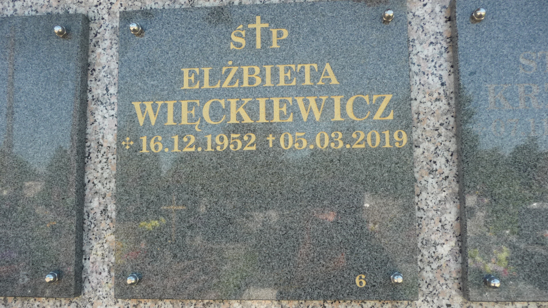Elżbieta Więckiewicz 1952 Sosnowiec Wniebowzięcia NMP - Grobonet - Wyszukiwarka osób pochowanych